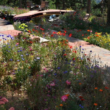 Natural Mountain Oasis