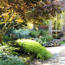 Yard Inspiration