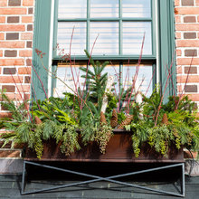 Window Boxes