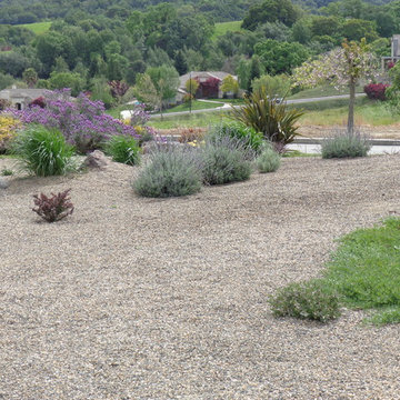 Lawn Replacement/Reduction in Lawn Size