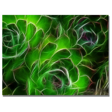 'Hens and Chicks' Canvas Art by Kathie McCurdy