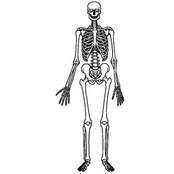 Barry Lampen's photo