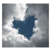 Kathy Cloud's photo