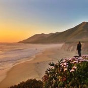 Stephanie Lomeli's photo