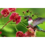 Nanci Lye-Stokes's photo