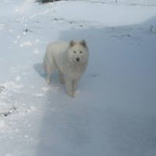 Tony Luttrell's photo