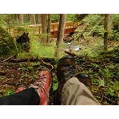 Timothy Bell's photo
