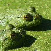 Carrie Peterson's photo