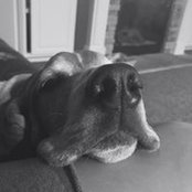 Susan Reed's photo
