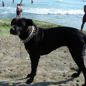 Justine O'Donnell's photo
