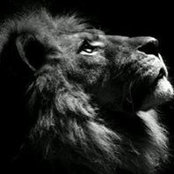 Samm صموئيل Jnr's photo