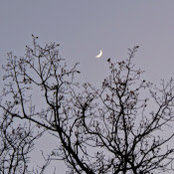 Teresa Flaherty's photo