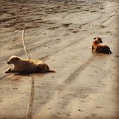 Kate Anderson's photo