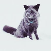 Cassie Oslund's photo