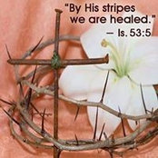 Judy Stirts's photo