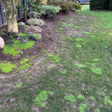 Residential Drain tile Replacement Projects