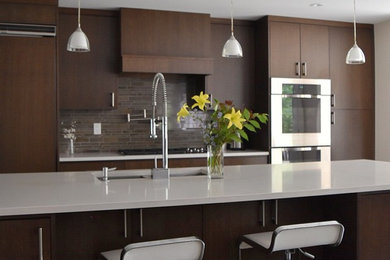 Example of a minimalist kitchen design in Toronto