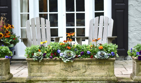 9 Ways to Refresh Your Summer Container Gardens for Fall