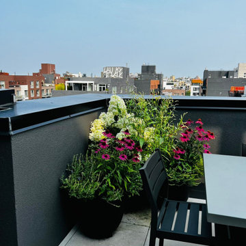 Williamsburg Rooftop Garden Wildflowers