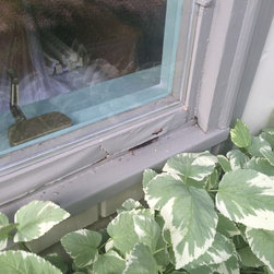 Before and After - Terratone Renewal by Andersen Windows - Products