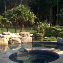 Landscaping with Palms