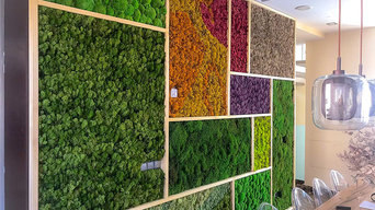 Muro Natural Preservado