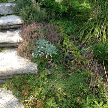Paving