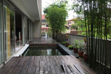 Modern Koi Pond