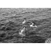 Adham Hefni's photo