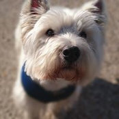 Barry Mohamed's photo