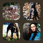 Dawn DaRocha's photo
