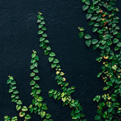 Devin Ray's photo