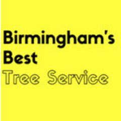 Birmingham's Best Tree Service