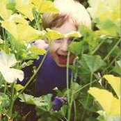 Vicky O'Reilly Jaehnigさんの写真