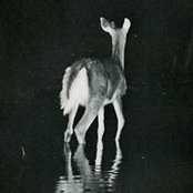 Matejewski Hervéさんの写真