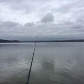Robert Campbell's photo
