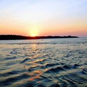 Maureen Collins's photo