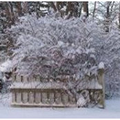 James Elbrecht's photo