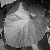 Betsy Bayer's photo