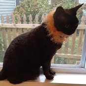 Barbara Cagle's photo