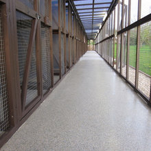kennel