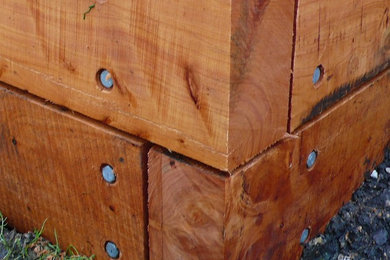 Macrocarpa bed garden detail
