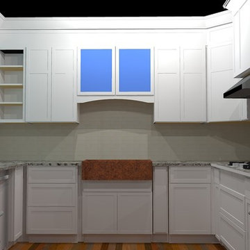 Early design render