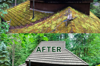 Comprehensive Roof Moss Removal Before & After by Rip City in Portland, OR