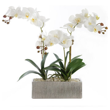 Cream Orchids with Geodes & Pebbles Flower in Silver Planter
