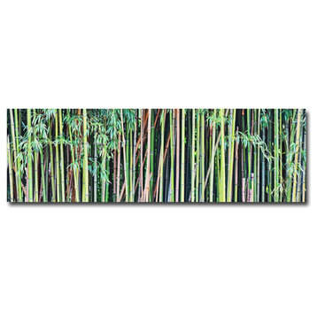 'Bamboo' Canvas Art by Gregory O'Hanlon