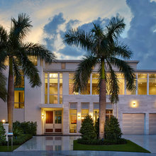 Palm Trees