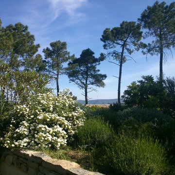 Jardin dans les ocres