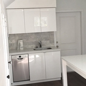 Modern Kitchen Remodel