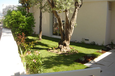 This is an example of a contemporary garden in Marseille.